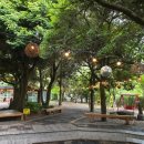 메이즈랜드 이미지