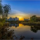 상동호수공원 이미지