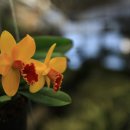 양재시장 이미지