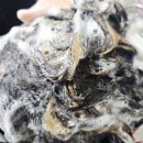 라온 | 탈모성지에서 극찬한 탈모샴푸 라온샴푸 리얼 후기