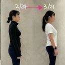 역삼역 사거리 PT l 운동으로 당당한 자세 완성! 굽은 등 개선 리얼 후기 🔥