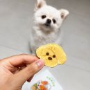 멍멍제과점