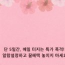 3.1만세로 R 이미지