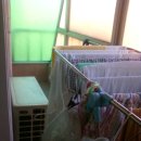 일구사삼 이미지