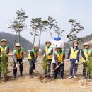 한돈농장 이미지