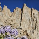 Mt. Whitney (4,420m.14,505ft) 등정기. 이미지