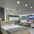 삼산금성 | w. 신혼혼수 침대 매트리스 금성침대 삼산점