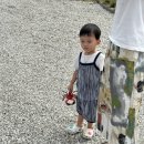 또복이네식당 | 너무 좋아서 생일에 또 갔다. 재방문 후기(사계절 온수풀 수영장 인더풀 글램핑)
