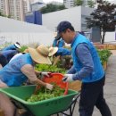 장수자농장 이미지