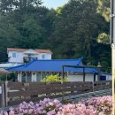 죽변항 | 울진 가족여행 숙소 추천｜시골 감성 가득한 산포까사 독채숙소 후기 + 죽변항 회포장