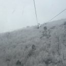 CU 무주구천동점 | [덕유산 설천봉] 무주 덕유산 곤돌라 평일 눈꽃 후기