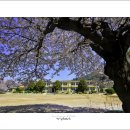 서창선초등학교 이미지