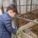 은진2농장 이미지