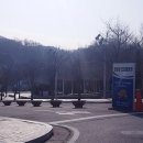 나인 오토 이미지