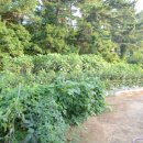 웰빙오투 이미지