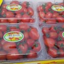 정말농장 이미지