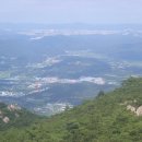 정월동축산 Daum카페