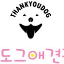 땡큐도그