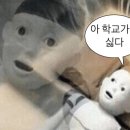 최*락 이미지