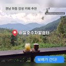 나무요일 민박 | 경남 하동 산 속 찻집 감성 카페 [ 하늘호수차밭쉼터 ] 마운틴뷰 이색 카페 내돈내산 추천!