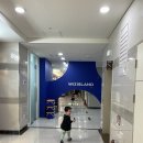 1탄- 놀이학교 장단점 후기(위즈아일랜드 위례), 두아이 후기, 이유있는 소비, 내돈내산