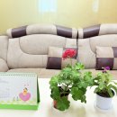 밝은세상안마원신천역점 이미지