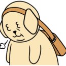 펫츠힐