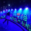 황태자모텔 | 광주야경명소_환상적인 미디어아트 사직빛의숲에서 길 잃은 후기...사직공원 주차팁 전망대 광주시내야경