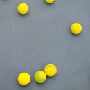 (주)케이스타 | 광나루역 케이스타테니스 1년 6개월동안 다닌 내돈내산 후기🎾
