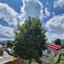 남해-136 이미지