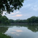 양꼬미떡공방 네이버블로그