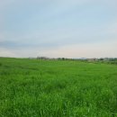 안성팜랜드 푸드트럭 이미지