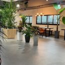 마로니에 미니골프 이미지