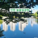 인천 논현역 근처 가볼 만한 곳 도심 속 힐링 산책 명소 늘솔길공원