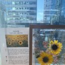 서울대입구역(2) 이미지