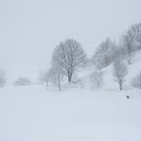 설경산수화 이미지