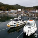 삼포방파제 이미지