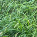 기후 위기, 인류의 생존이 걸려있다고? | 인류에게 가장 필요한 기술...