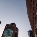 강남최선생 이미지