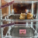 세라스커피 - 용인시 기흥구 서천로127번길 8 | 일산 라테라스드파리 연말과 잘 어울리는 사진찍기 좋은 카페