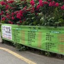 학남어린이집 이미지