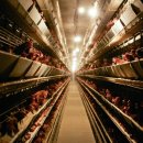 농원축산 이미지