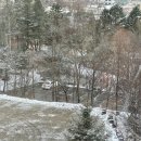 (주)넥스코 이미지