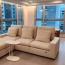 오송파라곤대표공인중개사사무소 이미지