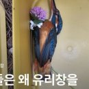 금성초등학교 | [후기] 금성초등학교에서 “새 친구 프로젝트”를 진행했습니다.