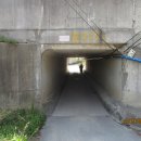 월포주유소 이미지