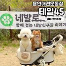 네발친구 | [테일45] 용인애견동반대형카페 애견운동장 대관 후기 whit.네발로그 모임
