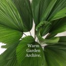 (11/21) 핸드타이드 꽃다발 | [공지] 3월-4월 플라워 정규 클래스_전문반(8week or 4week)