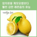 스토리채