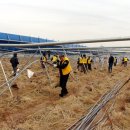 김인식농장 이미지